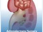 Adrenalectomy-Surgery