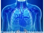 Congenital-Adrenal-Hyperplasia Congenital-Adrenal-Hyperplasia
